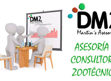 DM2 Martin´s Asesores