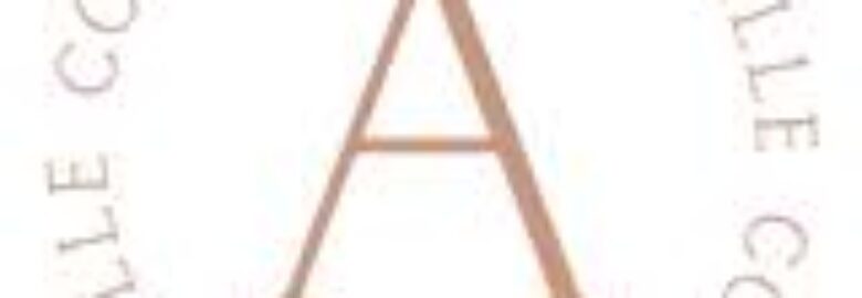 Amille Collection – Tienda de Zapatos y Bolsos