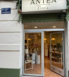 Floristería Antea Flora | Flores a domicilio Valencia