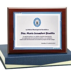 Trofeos y Medallas Personalizadas | Trofeos Mora