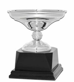 Trofeos y Medallas Personalizadas | Trofeos Mora